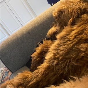 Meet your Posher, Matt